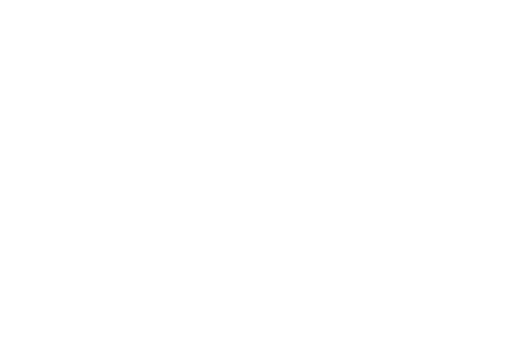 Niagara Canada International Film Festival 2026, Best Director