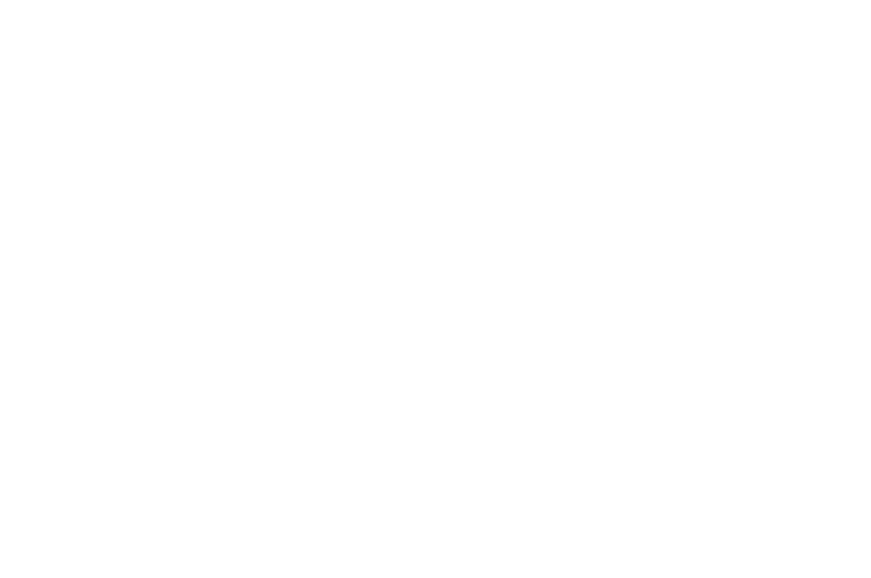Niagara Canada International Film Festival 2026, Best Feature Film